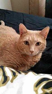 Peaches (21426171)