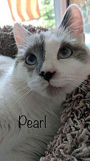 Pearl (21401780)