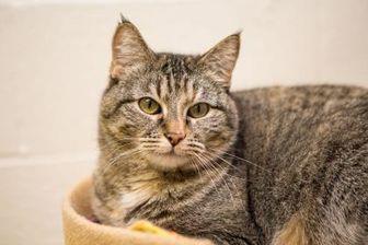 Penelope (20497499)