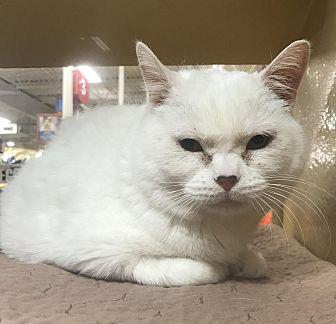 Penelope (21386370)