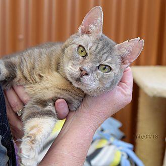 Penelope (21507198)