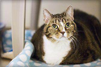 Penny (12361229)
