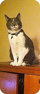 Pepper (8506864)