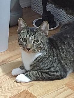 Pete (21604586)