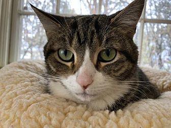 Petey The Pe (21276994)