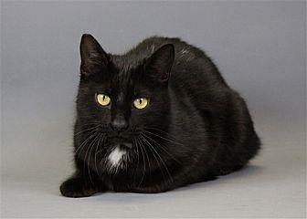 Pippa (21321812)