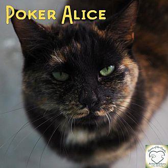 Poker Alice (17104626)