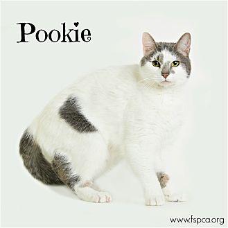 Pookie (20986818)