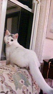 Posey (21098958)