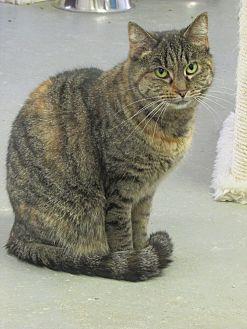Pudge (19890257)