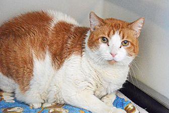 Punkin (14341839)