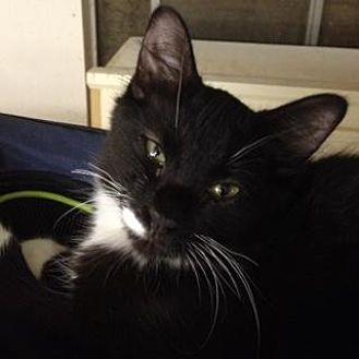 Pusstachio (21429772)