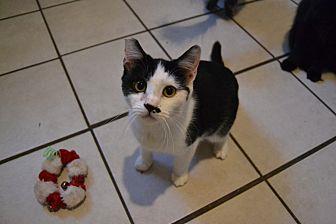 Ramona (20048407)