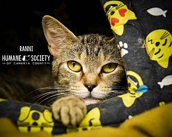 Ranni (20462730)
