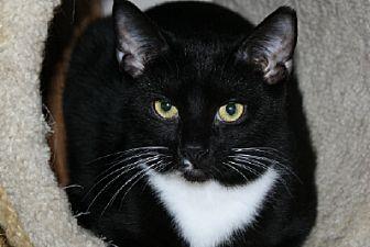 Rascal (20626738)