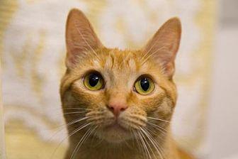 Raz (20409272)