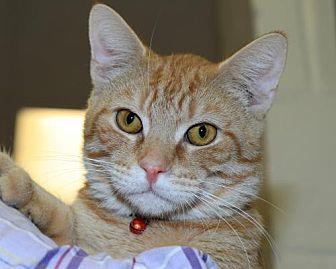 Reggie (21515167)