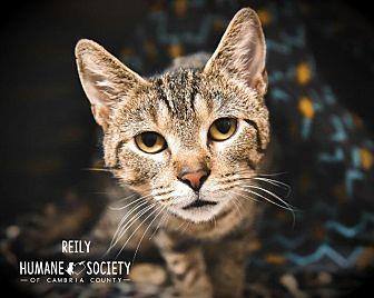 Reily (20462723)