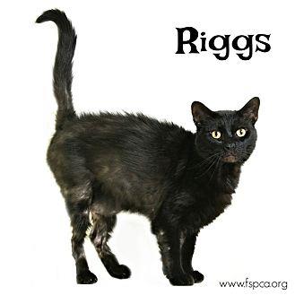 Riggs (21590419)