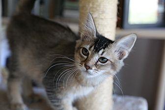 Rita (21468365)