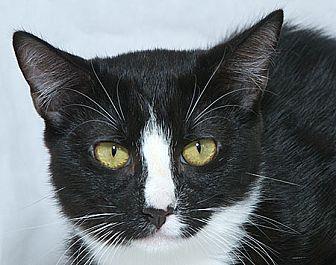 Rocco B (20748583)