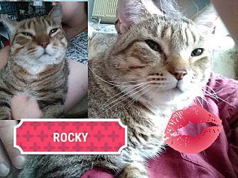 Rocky (19334675)