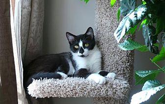 Romelda (fem (20002850)