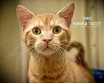 Romeo (21114736)