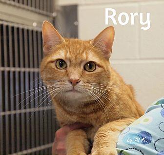 Rory (21496189)