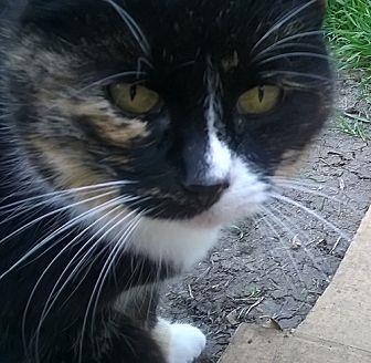 Rosie (& Mus (15645059)