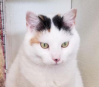 Roxy (20672584)
