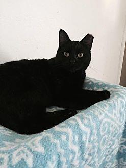 Sabrina (14656109)