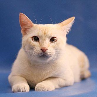 Sabrina (21278167)