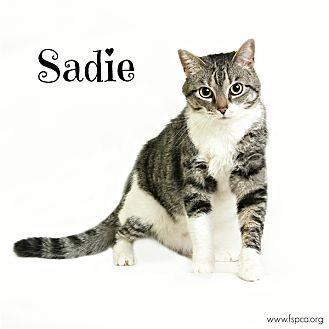 Sadie (20920238)
