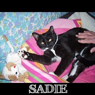 Sadie (21056926)
