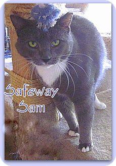 Safeway Sam (18552160)