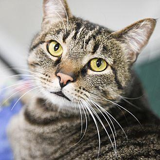 Sam (21402043)