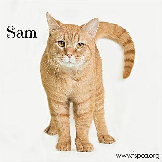 Sam (21537371)
