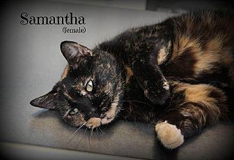 Samantha (20291533)
