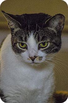 Sammie (17446232)