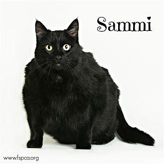 Sammie (21177458)