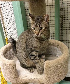 Sammy (21259317)