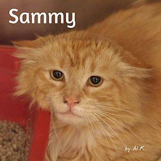 Sammy (21315374)