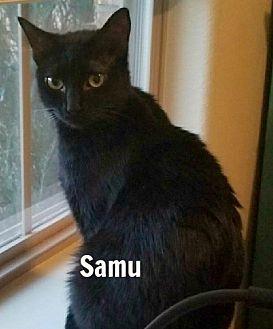 Samu (20072235)