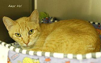 Sandy (20094221)