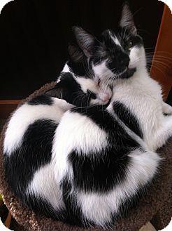 Selina and S (12925169)