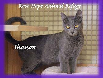 Shannon (21553628)