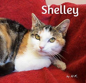 Shelley (21314600)