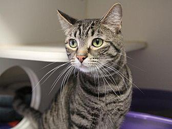 Shiloh (21605109)