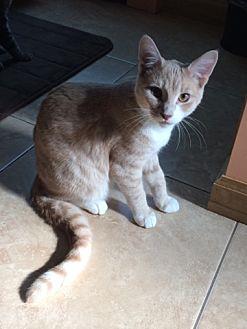 Simon (18296421)